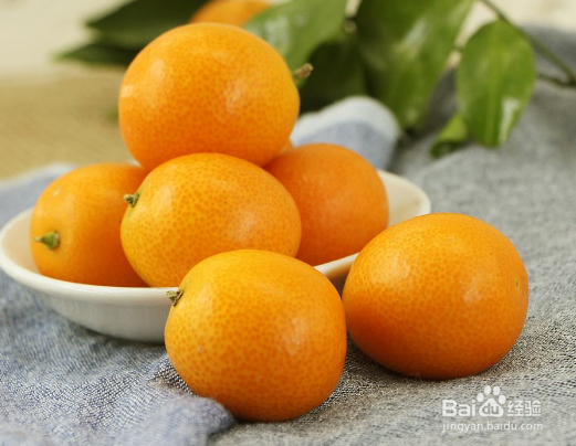 金桔怎么栽培