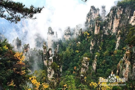 去张家界旅游攻略