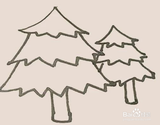 简笔画松树的简单画法
