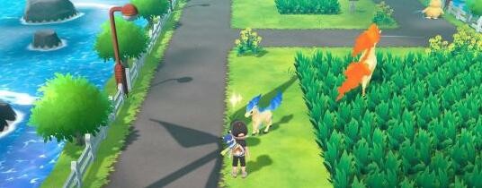 新手刷闪光精灵技巧