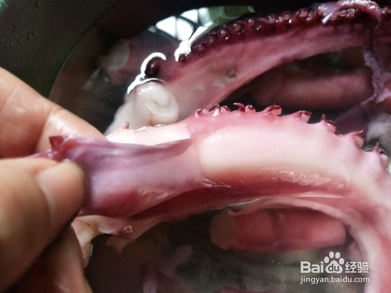 酱爆鱿鱼须的做法