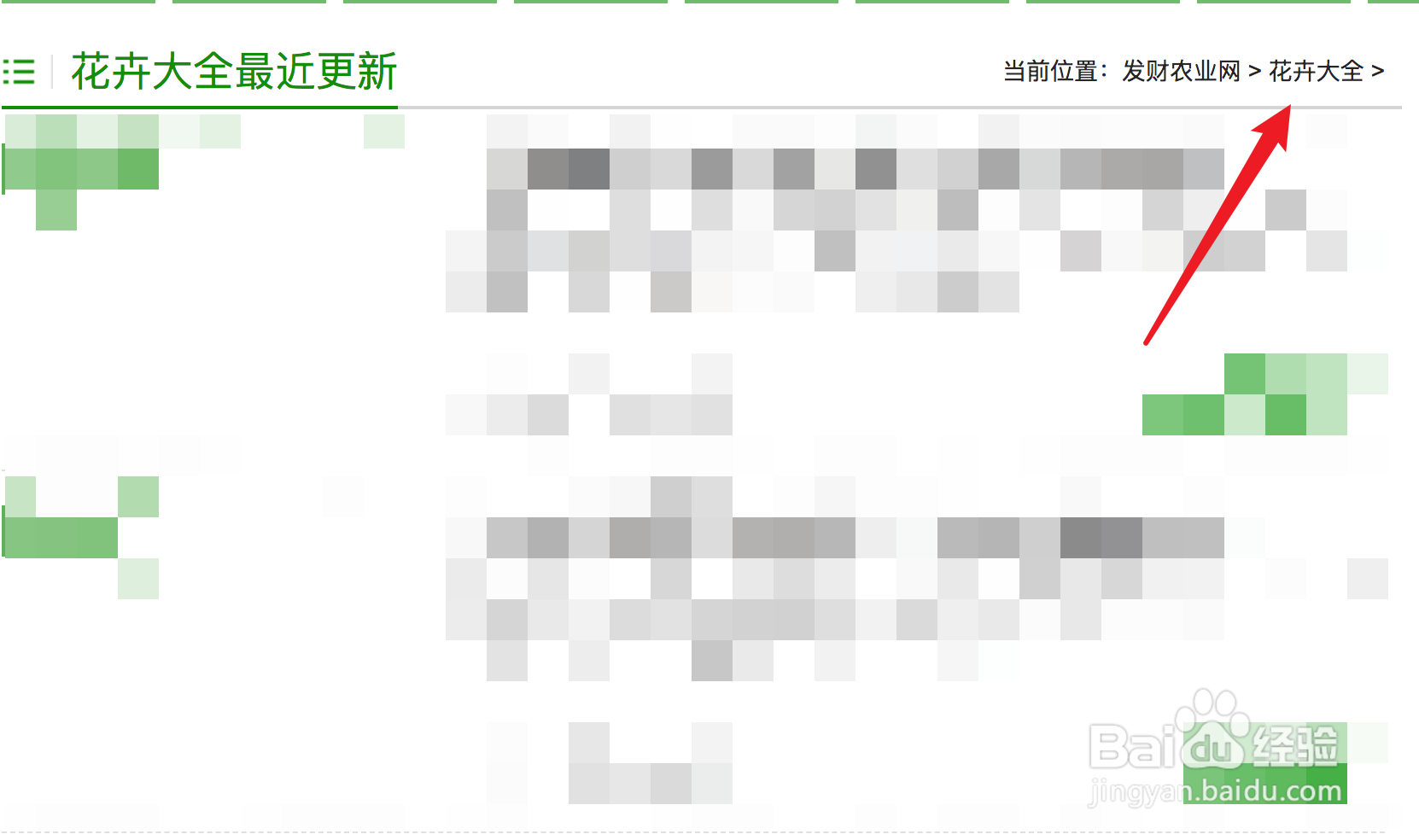 吊兰修剪方法图解