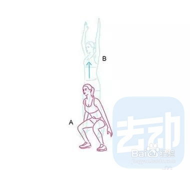 什么运动减大腿最好