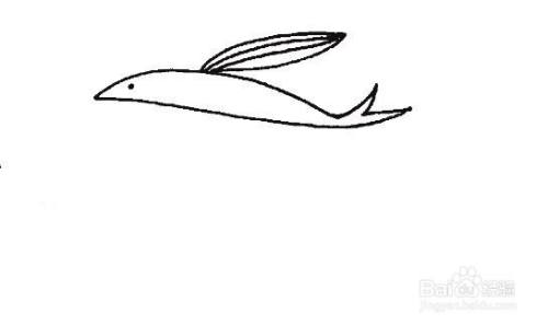 飞鱼的简笔画