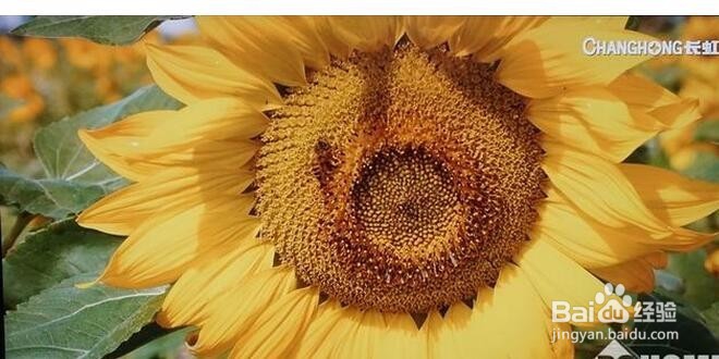 小米盒子3s开箱使用评测:脱胎换骨之作