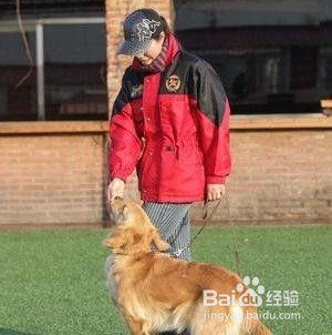 狗狗爱咬人怎么办?