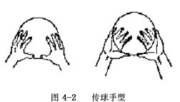 排球运动的要点与动作要领