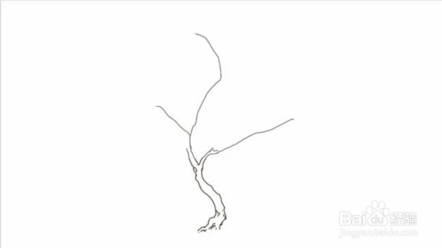 武大樱花盛开简笔画