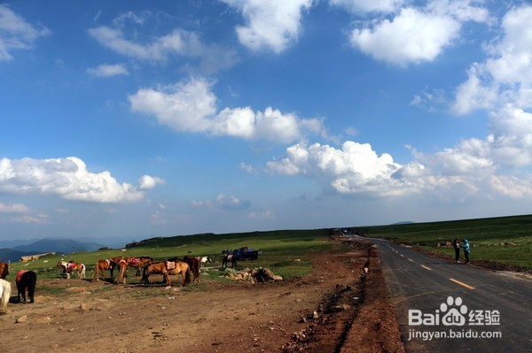 飞狐为邻,揭秘养在深闺中的空中草原!