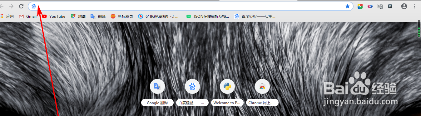 谷歌无法打开页面,如何设置百度搜索引擎