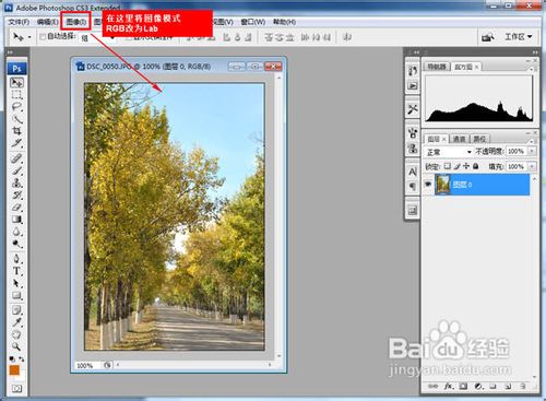 PS快速将绿色树林图片转为艳丽的秋季色彩
