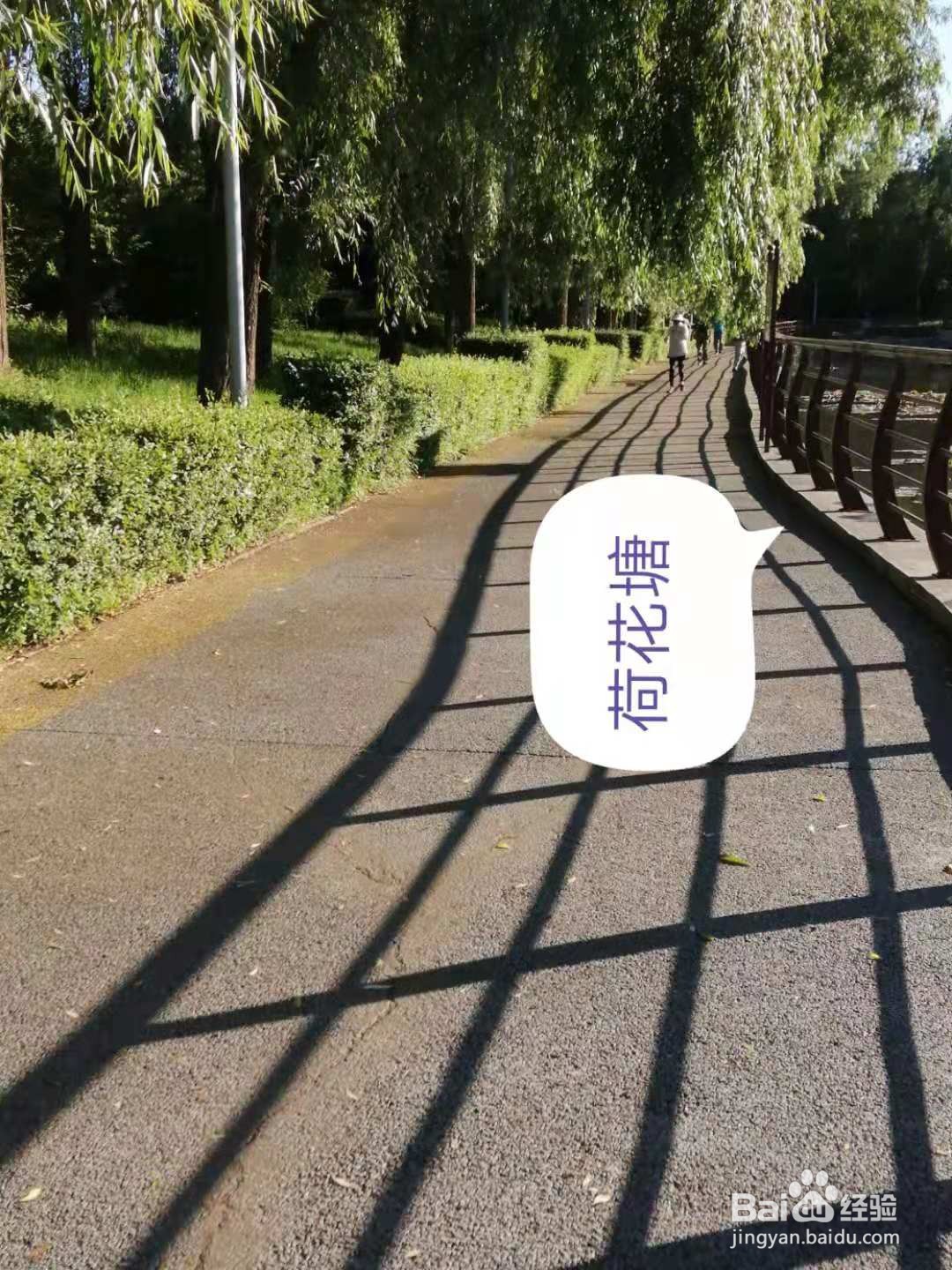 手机怎样制作照片文字标注