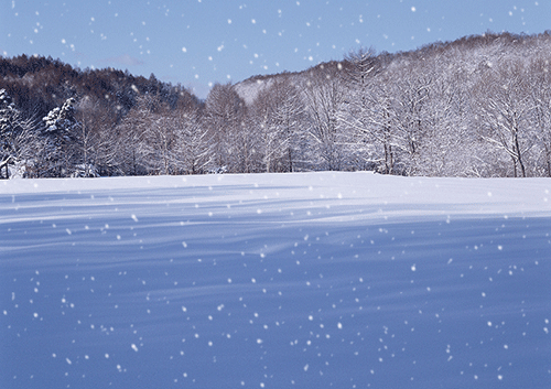 使用photoshop制作逼真gif下雪效果图 百度经验 使用photoshop制作逼真gif下雪效果图 百度经验
