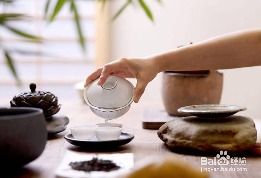天目湖白茶怎么冲泡