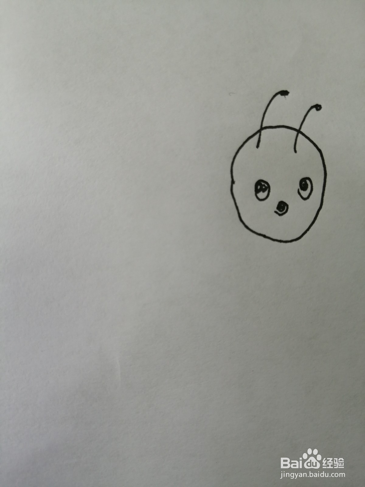 可爱的小蜜蜂怎么画