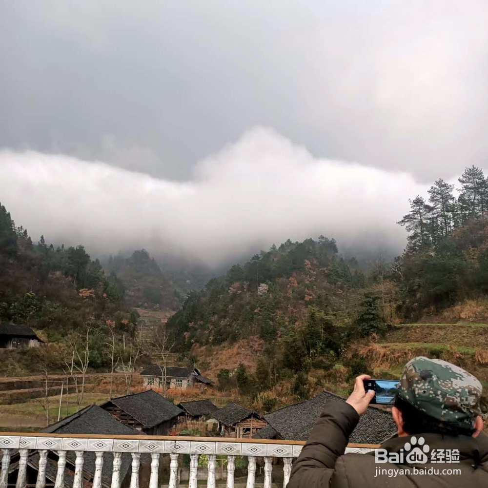 彩虹与樱花观赏散记
