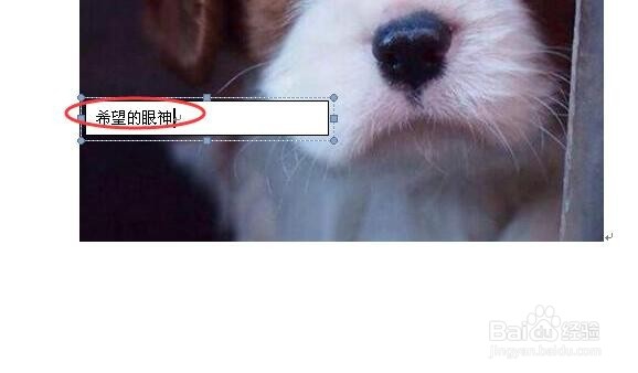 怎样在word里的图片上面添加文字