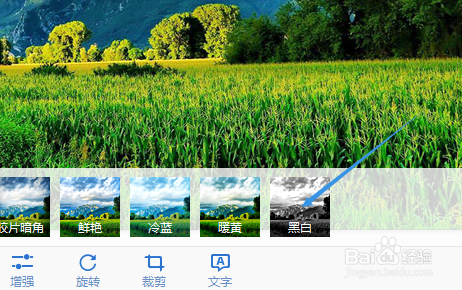 怎样使用2345看图王把彩色图片就能变成黑白图片