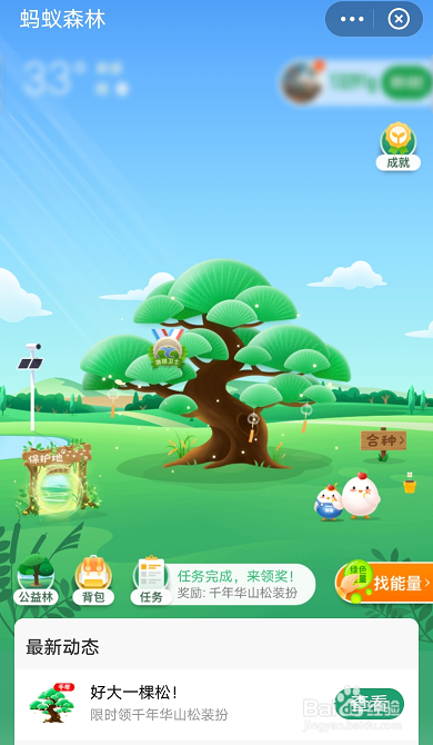 支付宝如何获得千年华山松装扮