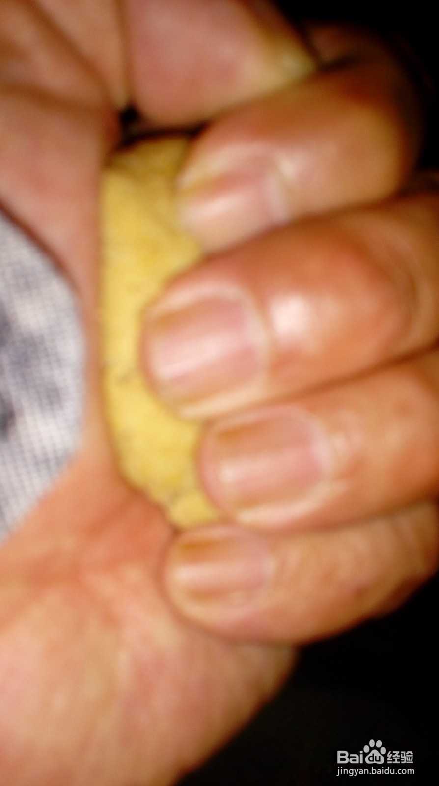 垂钓大型鱼使用的饵料