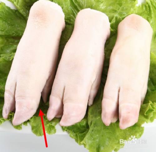 猪左手右手怎么分图片