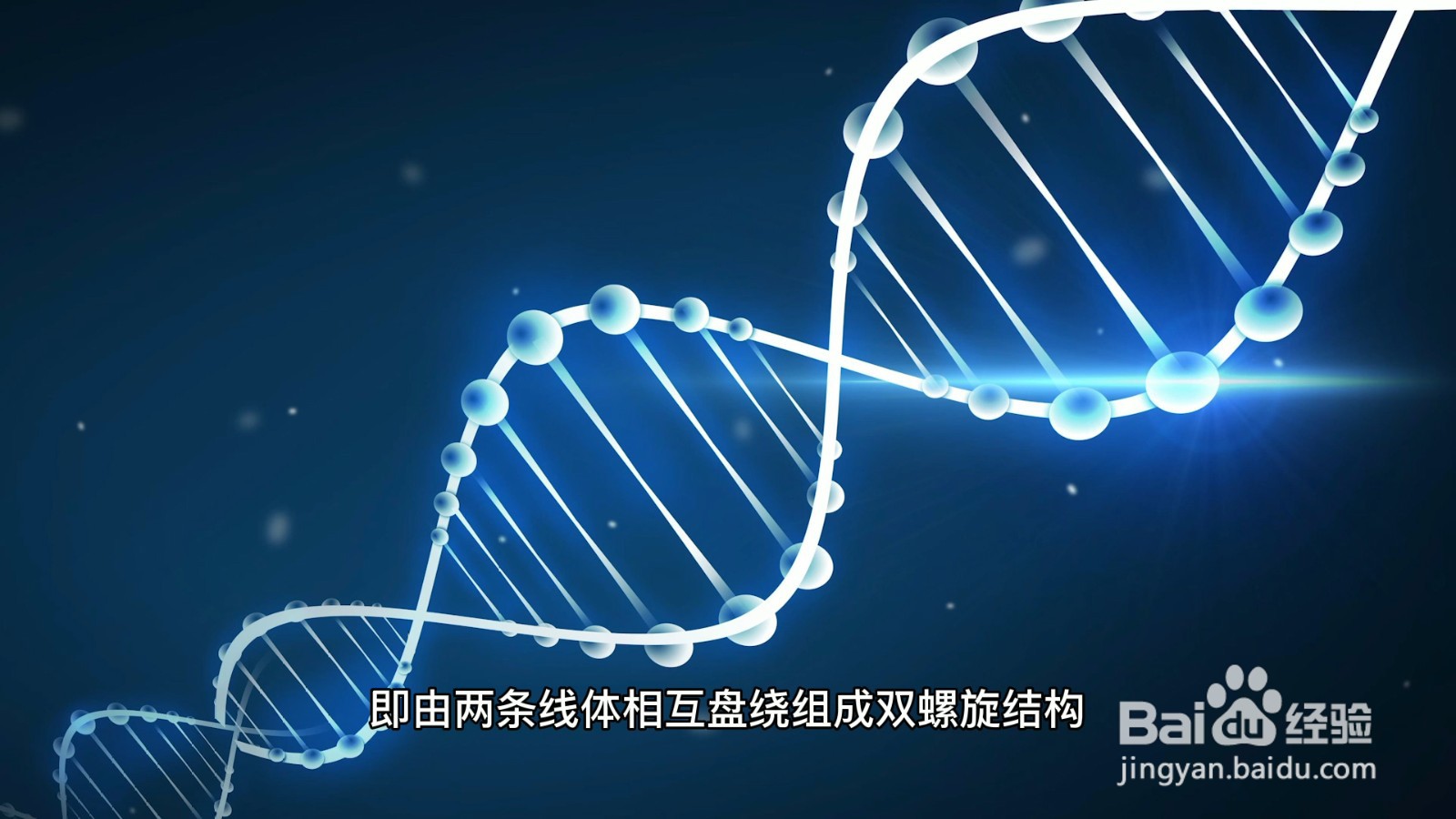 dna是什么的缩写