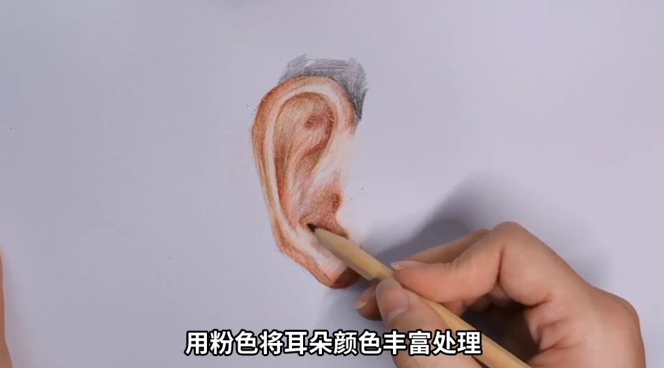 如何用彩铅画耳朵？