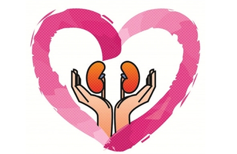 如何在日常生活中注意保养肾