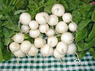 夏季养生吃得“苦”中“苦” 方为人上人