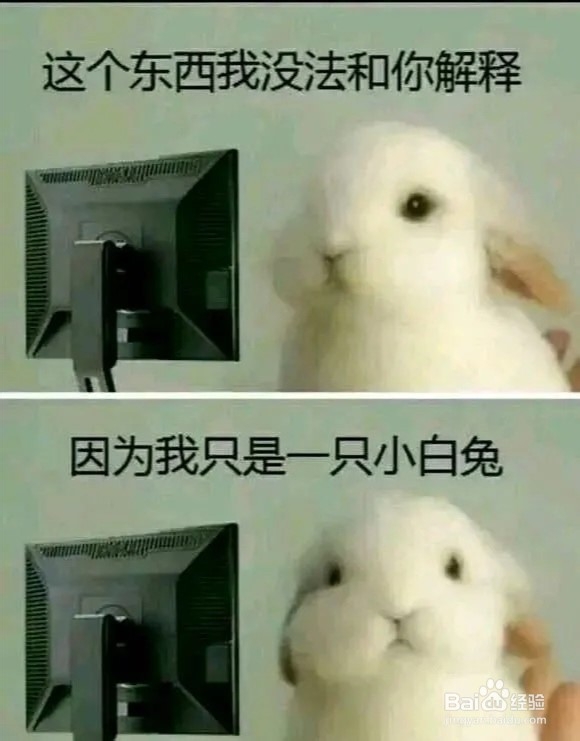 宠物兔笼子的选择