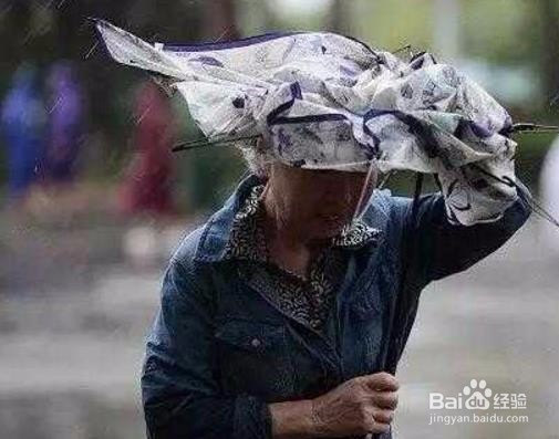 大风天气开车如何注意安全？