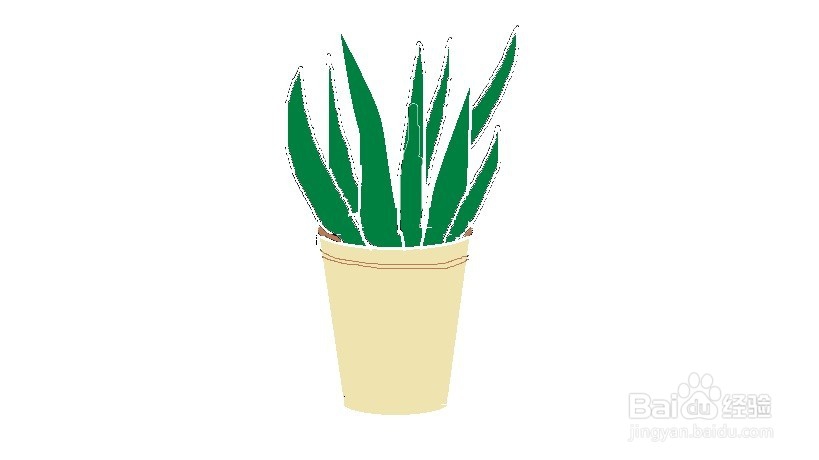 如何画一盆芦荟插画