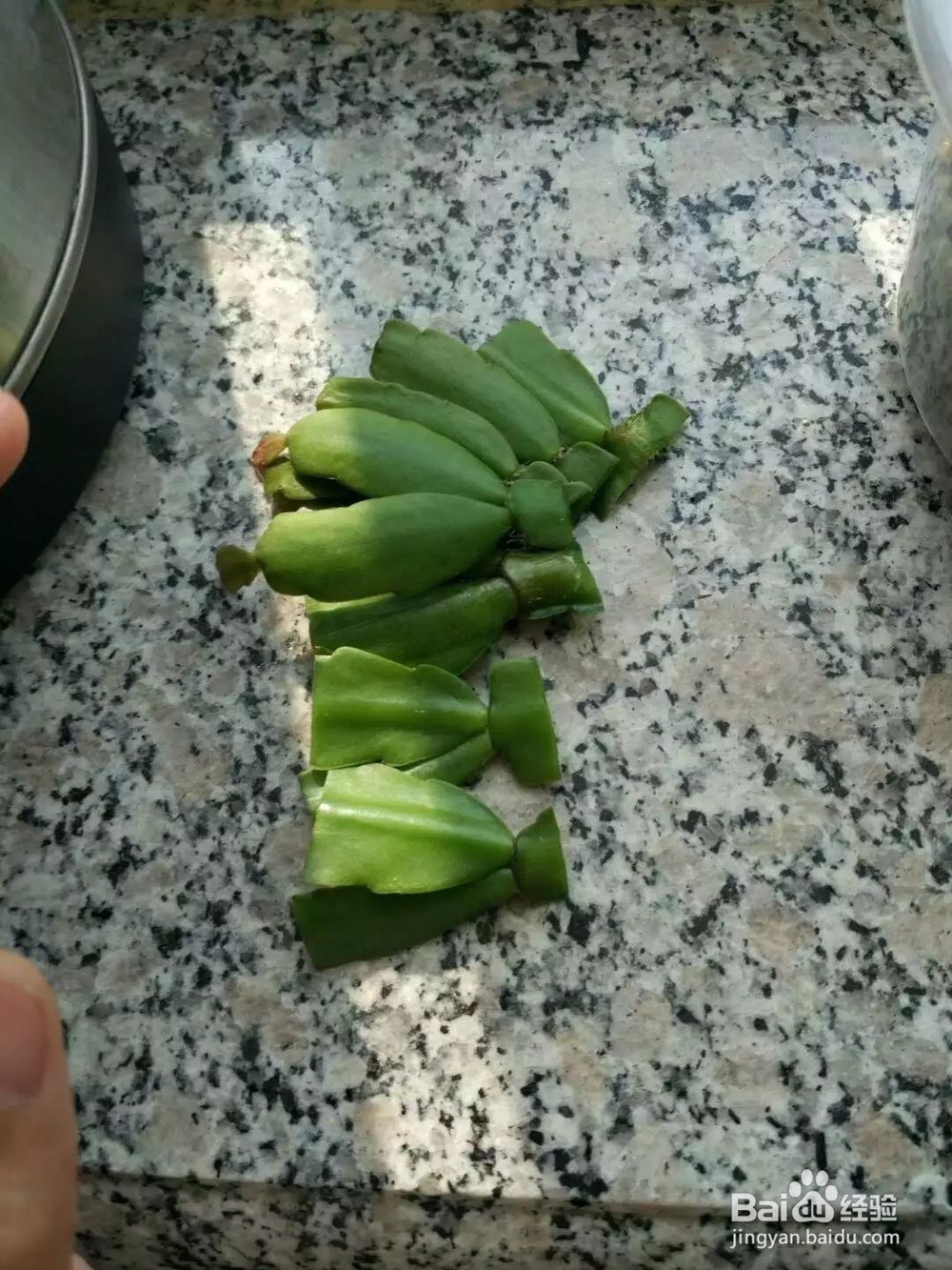 如何养蟹爪兰