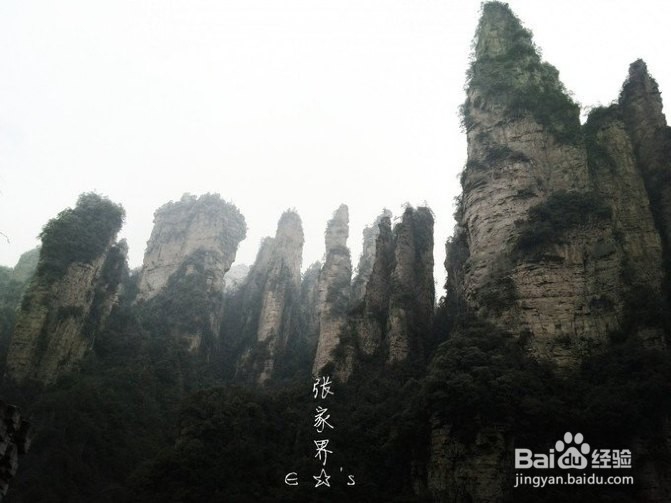 2016张家界旅游攻略实用攻略+费用+小贴士+游记