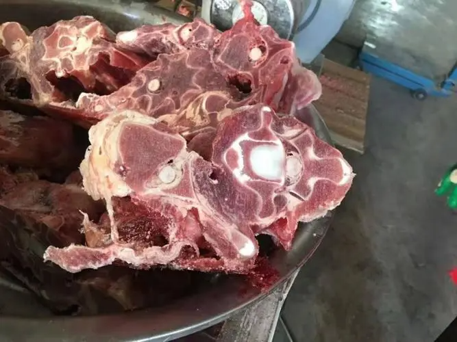 牛蝎子是什么部位