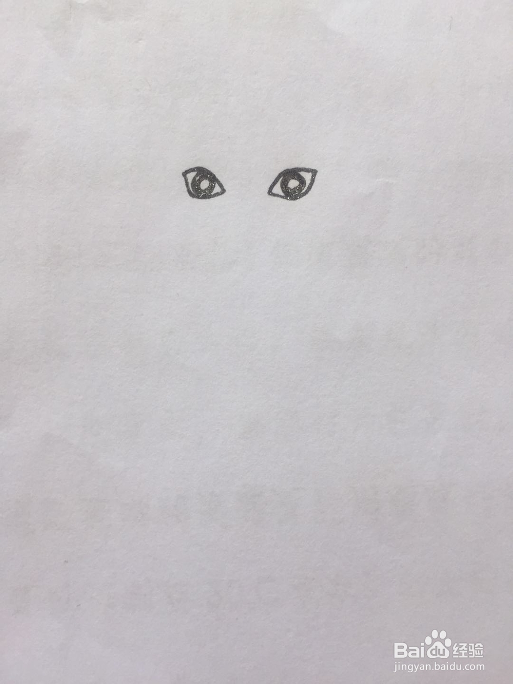 dxdll手绘之喝饮料的泰迪