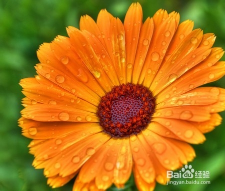 产后2周内要注意哪些事项