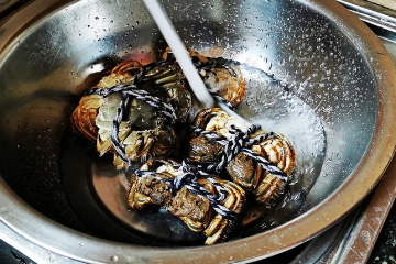 制作清蒸大闸蟹