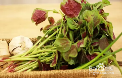 蒜蓉苋菜的做法