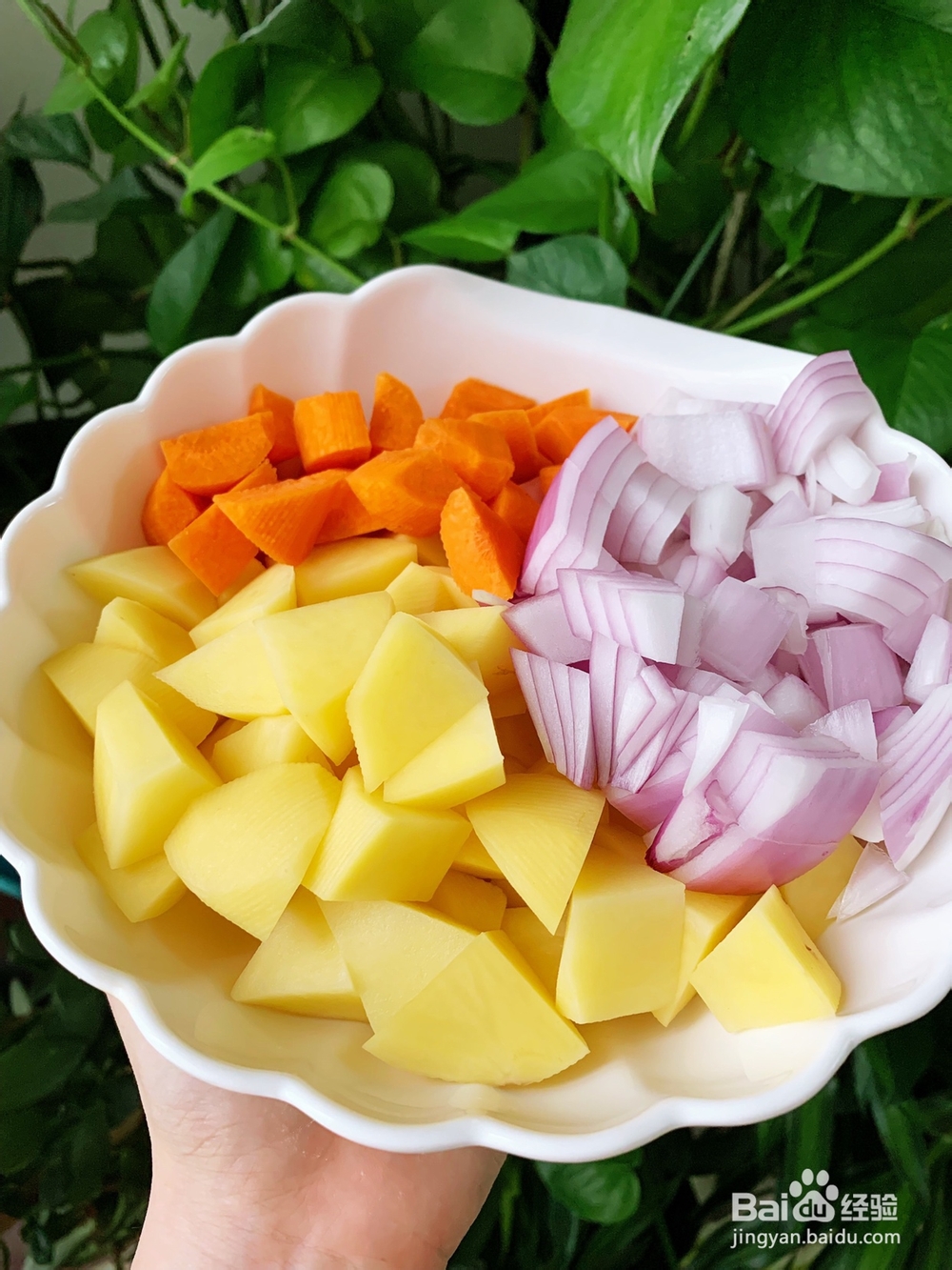 懒人菜谱咖喱土豆鸡块做饭小白必备的做