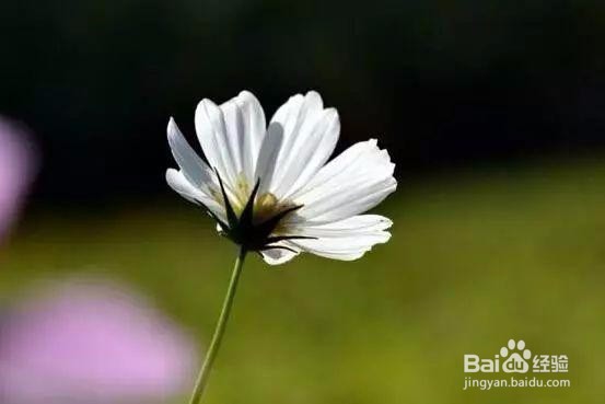 5个摄影小技巧，拍出碾压朋友圈的风光照！