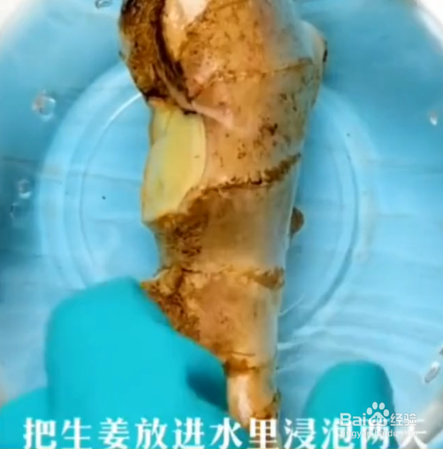 在生活中的种植的小妙招