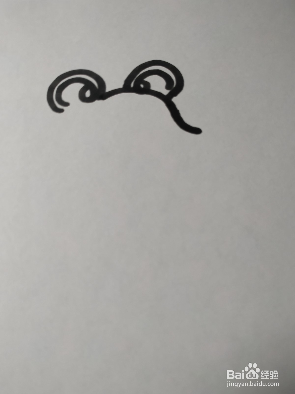 老鼠的简笔画技法36