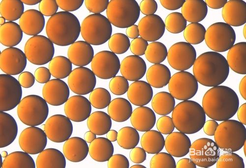 大孔吸附树脂的原理和方法