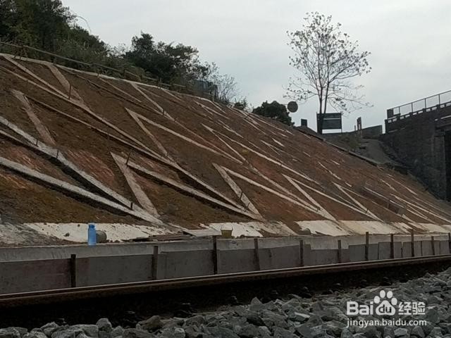 点支承玻璃采光顶的安装施工应符合哪些规定