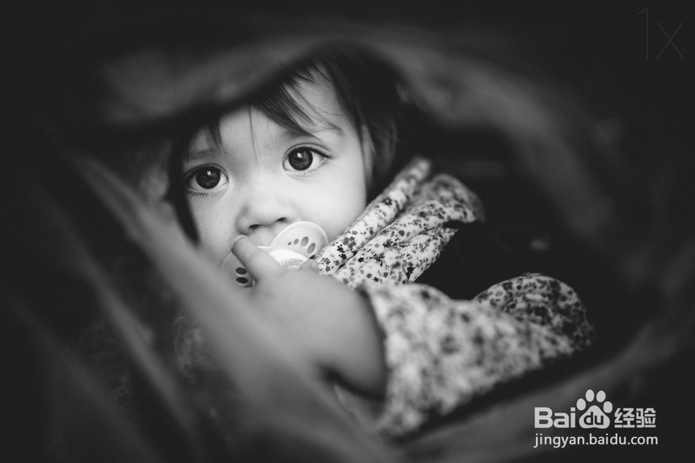 新手应该怎样学习摄影?