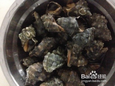苦螺怎么样煮