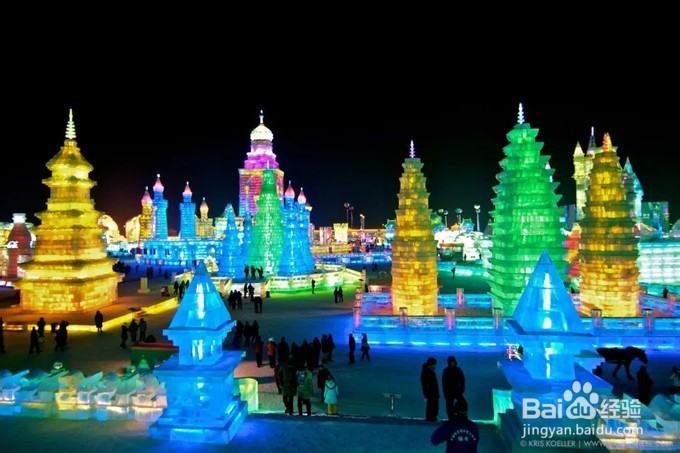 来哈尔滨不得不做的事