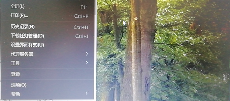 360极速浏览器网络怎么设置?
