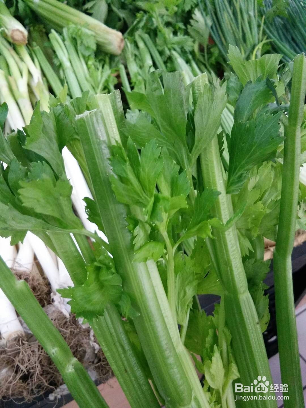 多吃芹菜有好处吗？